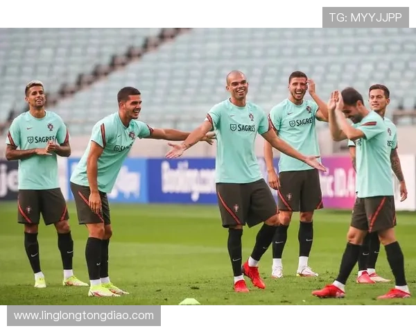 深圳乒乓球队在世界杯预选赛中的团队协作表现分析与点评